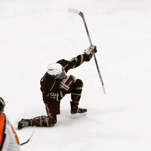 Meet your Posher, Jake